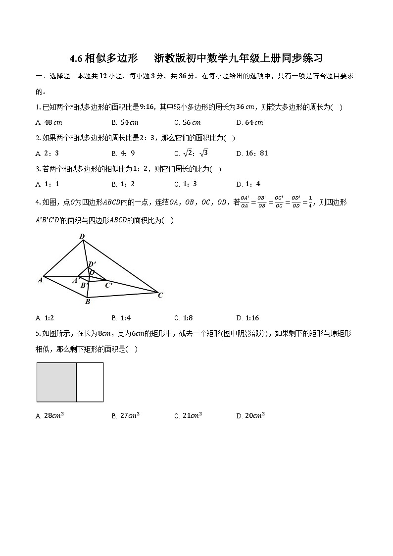 4.6相似多边形 浙教版初中数学九年级上册同步练习(含详细答案解析)01