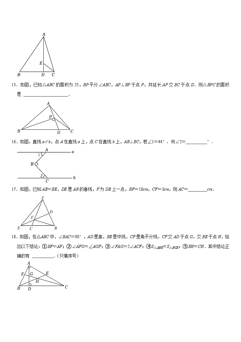 2023--2024学年北师大版七年级数学下册期末复习试题第3页
