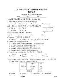 福建省福州市第十九中学2023-2024学年七年级下学期期末数学试卷