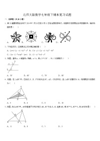 2023--2024学年北师大版七年级数学下册期末复习试题