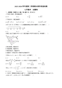 安徽省合肥市2023-2024学年七年级下学期期末数学试题