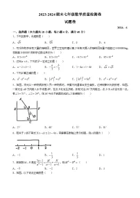 安徽省合肥市瑶海区2023-2024学年七年级下学期期末数学试题(无答案)