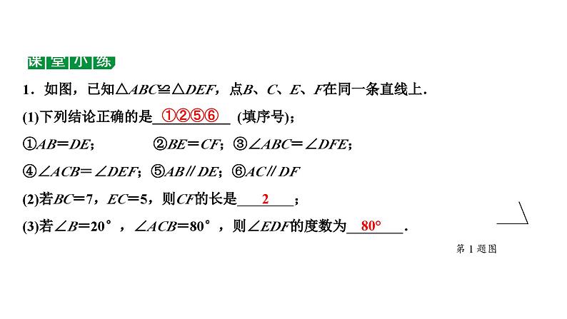 2024海南中考数学二轮重点专题研究 第18课时 全等三角形(课件)05