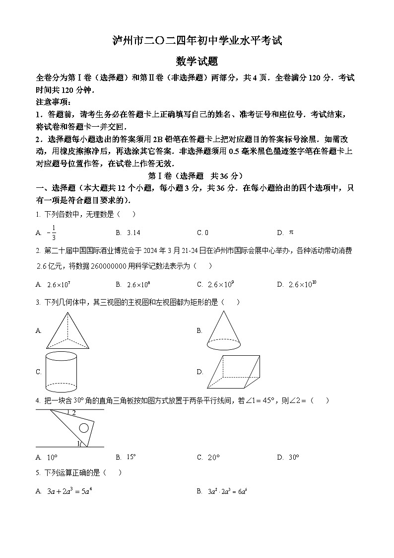2024年中考真题—四川省泸州市数学试题(原卷版)第1页