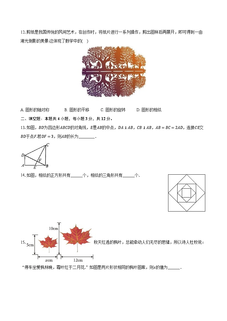 4.3相似多边形 北师大版初中数学九年级上册同步练习(含详细答案解析)03