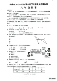 湖北省孝感市安陆市2023-2024学年八年级下学期期末质量检测数学试题
