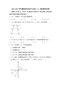 2023-2024学年湖南省怀化市九年级（上）期末数学试卷