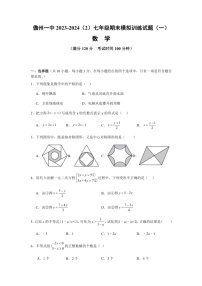 [数学]海南省儋州市第一中学2023～2024学年七年级下学期期末模拟试卷(有解析)