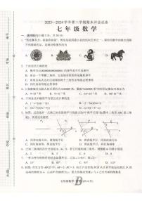 河南省平顶山市宝丰县2023-2024学年七年级下学期6月期末考试数学试题