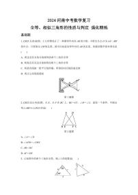 2024河南中考数学复习 全等、相似三角形的性质与判定 强化精练 (含答案)
