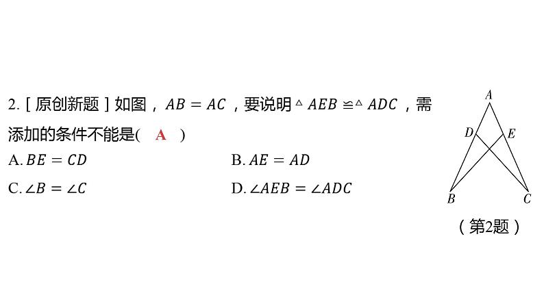 2024河南中考数学一轮知识点训练复习专题 全等三角形 (课件)第3页