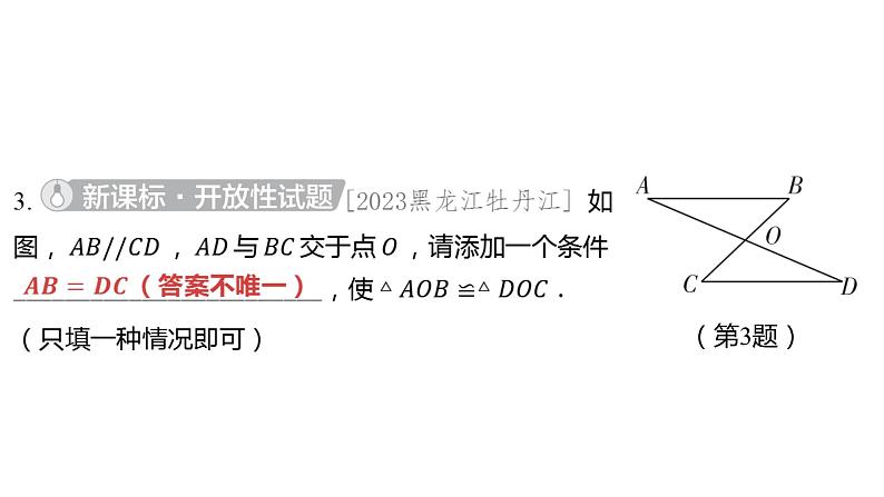 2024河南中考数学一轮知识点训练复习专题 全等三角形 (课件)第4页