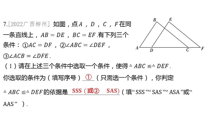 2024河南中考数学一轮知识点训练复习专题 全等三角形 (课件)第8页