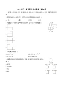2024年辽宁省辽阳市中考数学三模试卷（含答案）