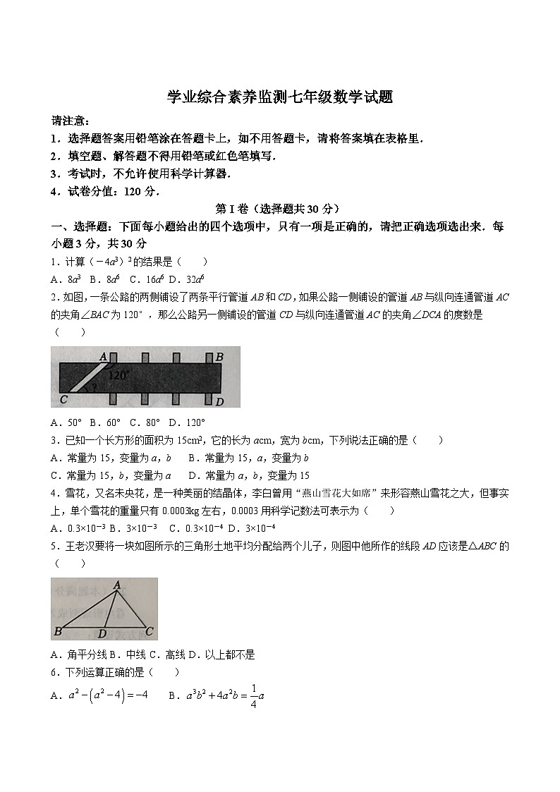 山东省枣庄市薛城区2023-2024学年七年级下学期期中考试数学试卷(含答案)第1页