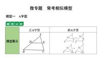 2024辽宁中考数学二轮专题复习 微专题 常考相似模型(课件)