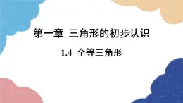 1.4 全等三角形 浙教版数学八年级上册课件