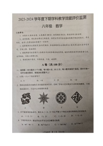 四川省成都市青白江区2023-2024学年八年级下学期期末考试数学试题