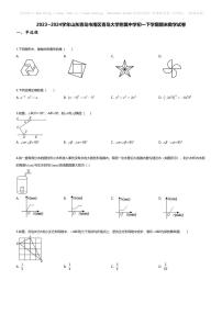 [数学][期末]2023~2024学年山东青岛市南区青岛大学附属中学初一下学期期末数学试卷(无答案)
