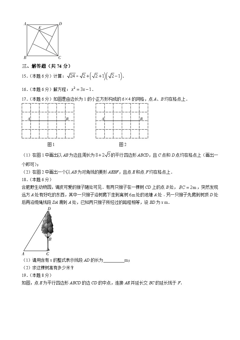 安徽省豪州市涡阳县2023-2024学年八年级下学期期末数学试题第3页