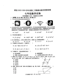 安徽省宿州市萧县2023-2024学年七年级下学期7月期末数学试题