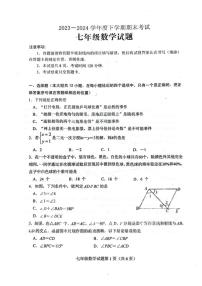 [数学][期末]山东省泰安市肥城市2023～2024学年鲁教版七年级下学期期末考试数学试题(无答案)