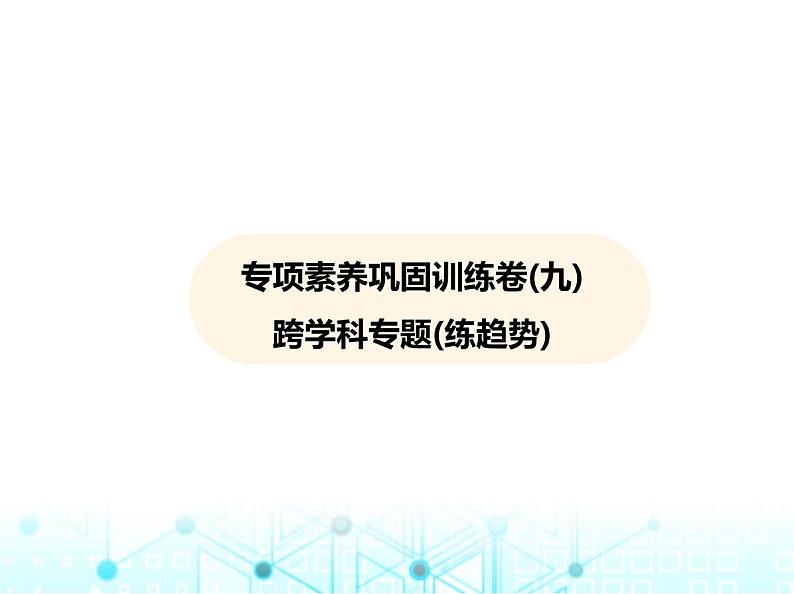 华东师大版初中数学九年级上册专项素养巩固训练卷(九)跨学科专题练课件第2页