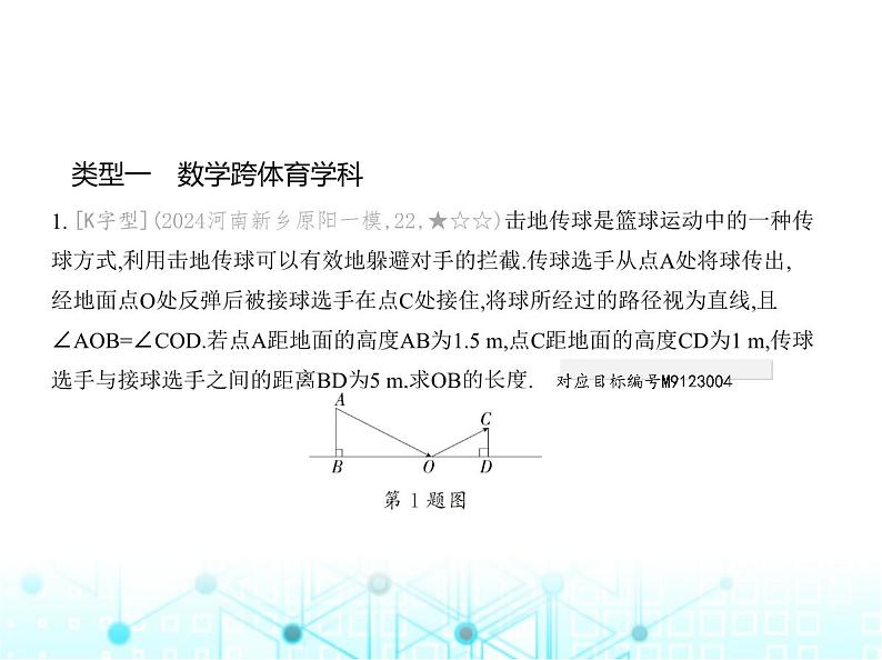 华东师大版初中数学九年级上册专项素养巩固训练卷(九)跨学科专题练课件第3页