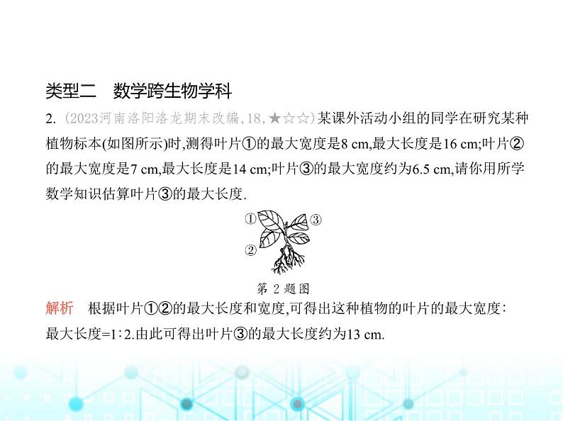 华东师大版初中数学九年级上册专项素养巩固训练卷(九)跨学科专题练课件第5页