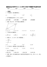 福建省龙岩市漳平市2023-2024学年七年级下学期期中考试数学试卷(含答案)