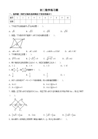 山东省淄博市桓台县2023-2024学年八年级下学期期末数学试题