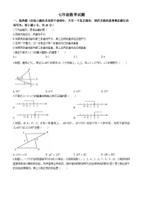 山东省淄博市周村区(五四制)2023-2024学年七年级下学期期末考试数学试题