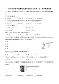 2023-2024学年安徽省合肥市肥西县七年级（下）期末数学试卷（含答案）