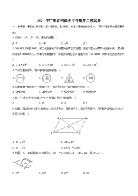 2024年广东省河源市中考数学二模试卷（含解析）