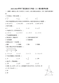 广西北海市2023-2024学年八年级上学期期末考试数学试卷(含解析)