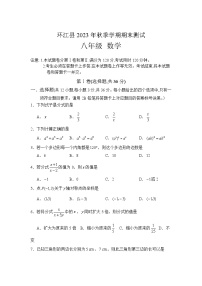 广西河池市环江县2023-2024学年八年级上学期期末考试数学试卷(含答案)