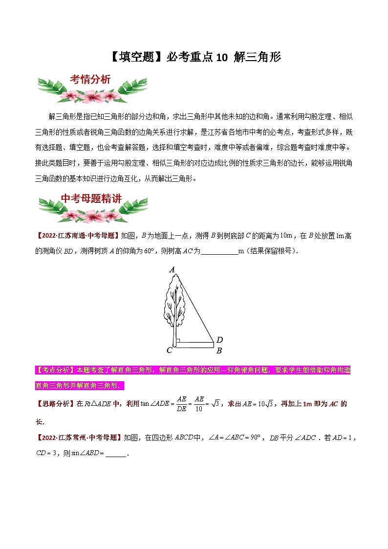 中考数学必考特色题型讲练(河南专用)【填空题】必考重点10解三角形(原卷版+解析)第1页