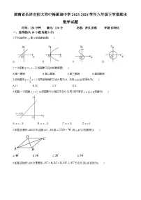 湖南省长沙市师大附中梅溪湖中学2023-2024学年八年级下学期期末数学试题