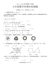海南省海口市2023-2024学年七年级下学期期末数学试卷