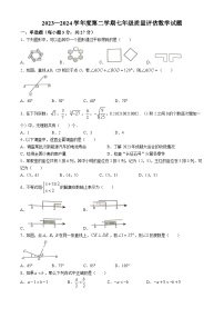 黑龙江省绥化市明水县2023-2024学年七年级下学期期末数学试题