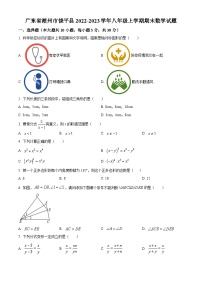 广东省潮州市饶平县2022-2023学年八年级上学期期末数学试题(人教版，含答案)