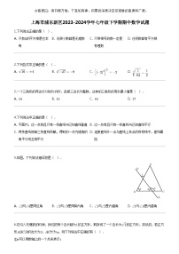 [数学]上海市浦东新区2023-2024数学年七年级下学期期中数学试题