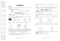 陕西省咸阳市泾阳县2024届九年级下学期期中阶段性质量检测数学试卷(含答案)