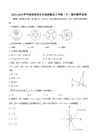 2023-2024学年陕西省西安市西咸新区八年级(下)期末数学试卷(含解析)