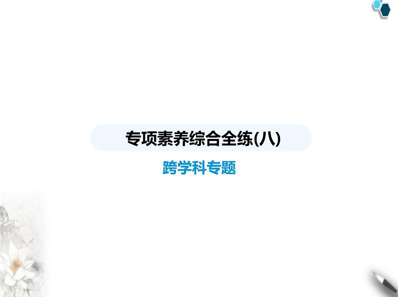 青岛版初中八年级数学上册专项素养综合练(八)跨学科专题课件01