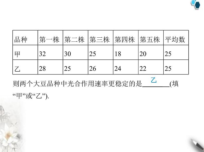 青岛版初中八年级数学上册专项素养综合练(八)跨学科专题课件07