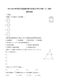 2023-2024学年四川省成都市青羊区重点中学九年级（上）期末数学试卷(含解析）