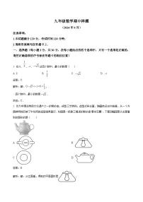 山东省菏泽市定陶区2024届九年级下学期期中考试数学试卷(含解析)