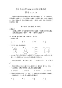 四川省乐山市市中区2024届九年级下学期中考适应性考试数学试卷(含答案)