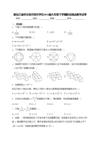 黑龙江省哈尔滨市部分学校2024届九年级下学期阶段测试数学试卷(含答案)